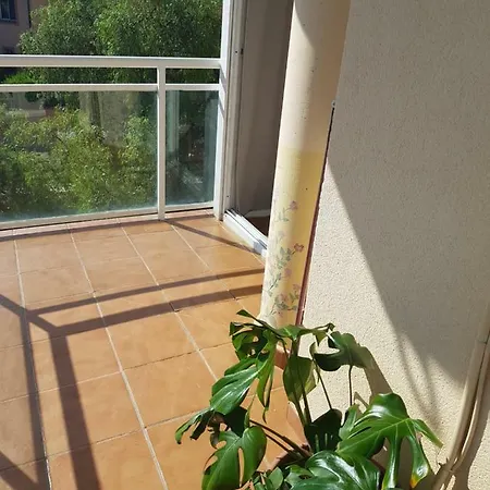 Pacos Apartament Fuengirola
